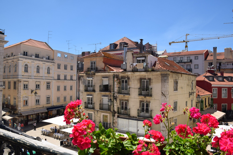 Exterior & Views, Lx Flowers, Lisbon