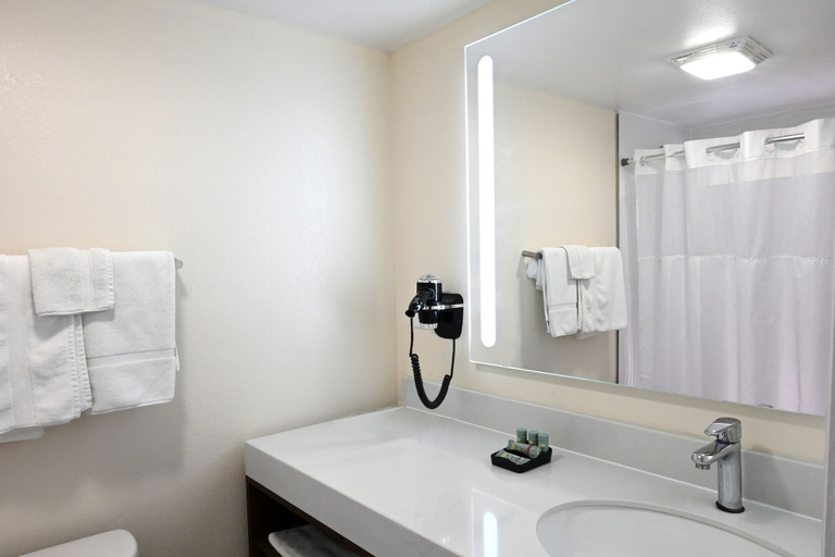 Bathroom 5, Golden Host Resort - Sarasota, Sarasota