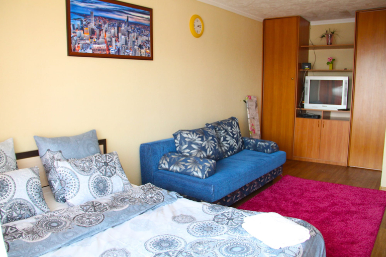 Others 3, Apartment on Chelyuskintsev 23 10 floor, Ekaterinburg gorsovet