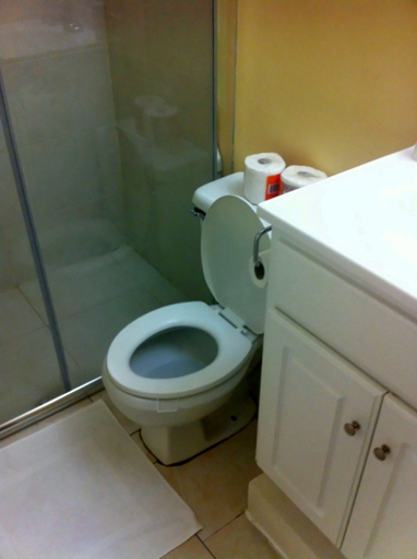Bathroom 4, Oakland Guest Apartments