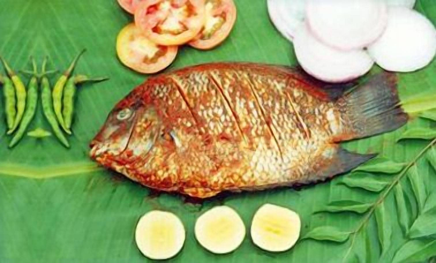 Food & Drinks, Palmleaves Beach Resort, Thiruvananthapuram