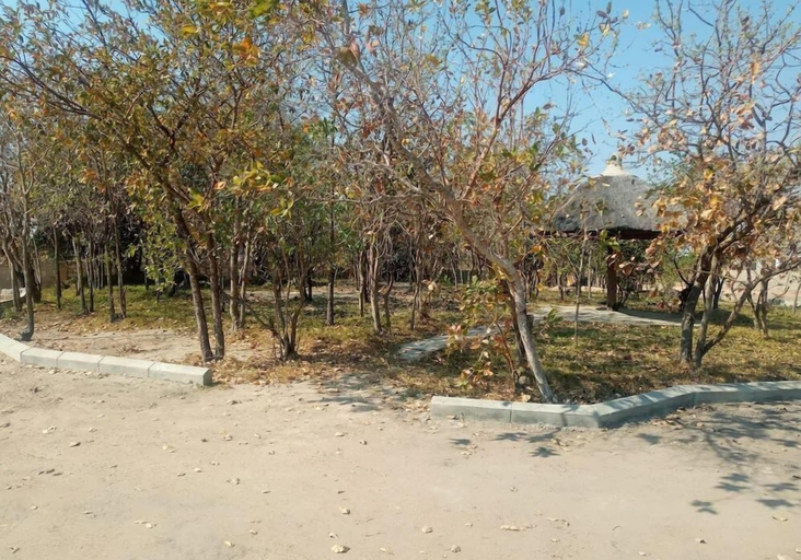 Others 5, Little Lodge, Choma