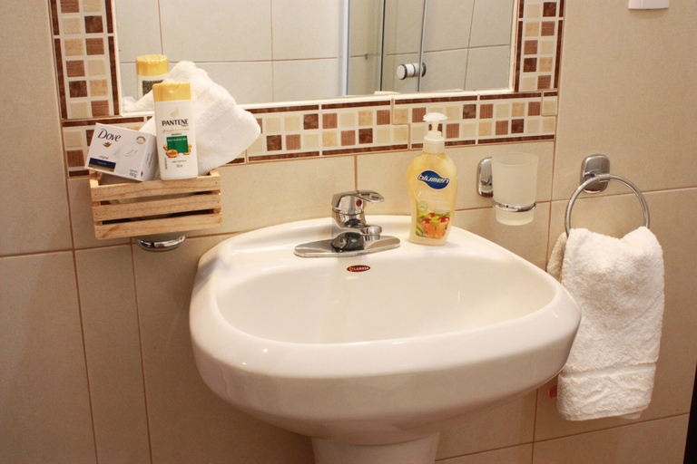 Bathroom 3, Casa Azuela & Valencia, Guanajuato