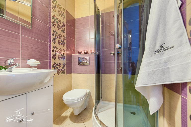 Bathroom 5, Willa Trebunia, Tatra