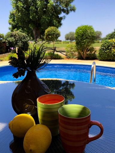 Food & Drinks, Angelos Junior Villa with pool HG22