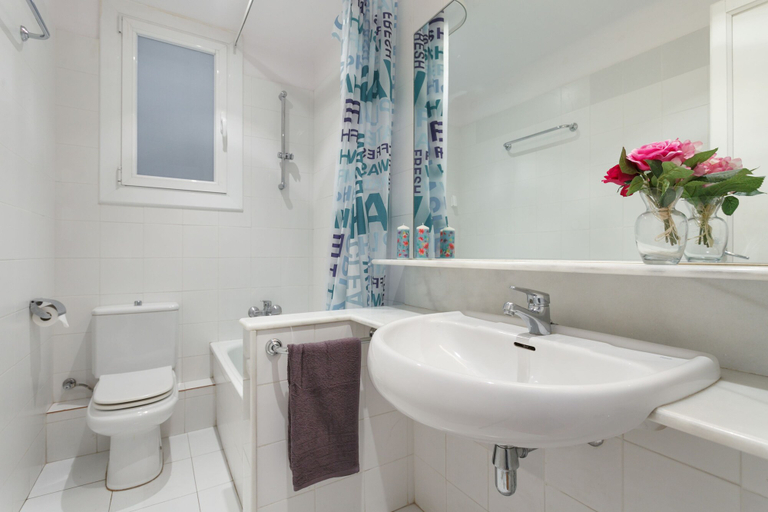 Bathroom, Apartment Arenyslux, Barcelona