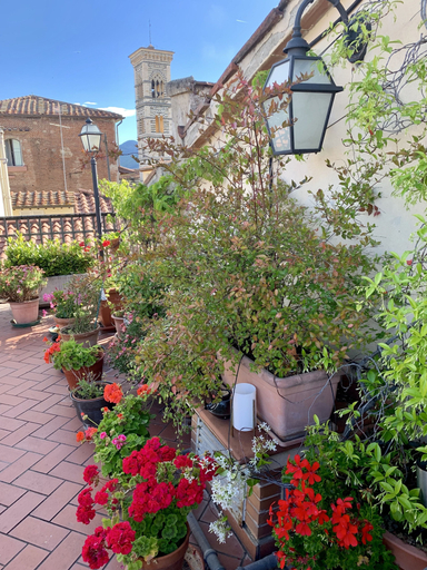 Exterior & Views 2, Residence Manassei, Prato