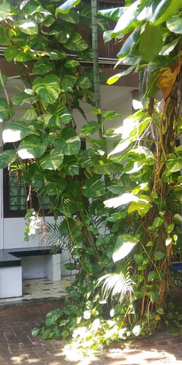 Others 5, D&J Stamford Hotel - Hostel, Eravur Town