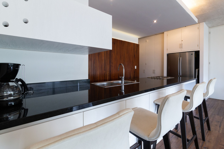Others 5, Areca 201 by CocoBR, Cozumel