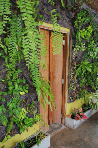 Exterior & Views 2, Visit Natural Detox Resort, Ko Samui