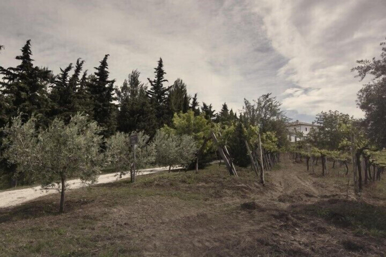 Others 5, Casina Margherita, Teramo