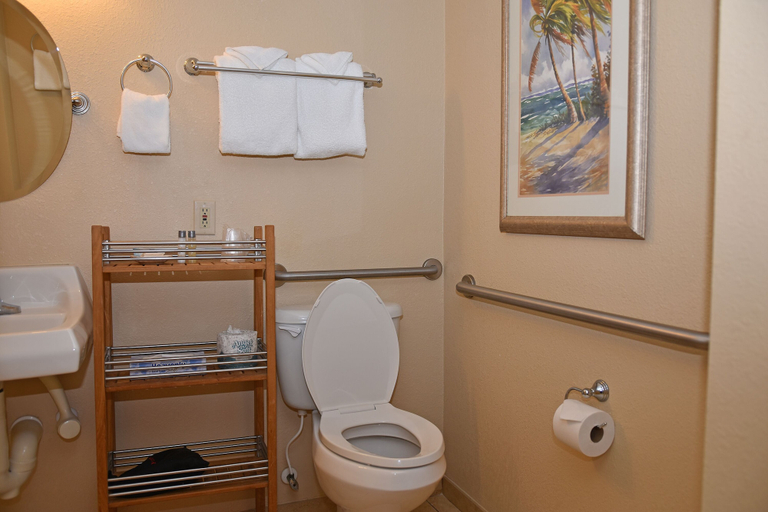 Bathroom 4, Nautilus Inn, Volusia