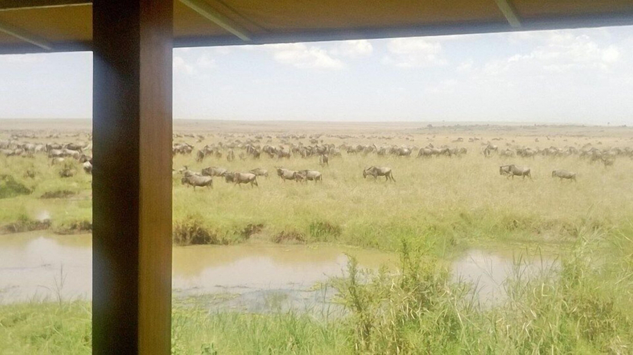 Others 5, Ngerende Island Lodge - Adults Only, Narok West