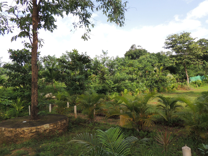 Others 5, Jungle Nest Homestay, Uttara Kannada
