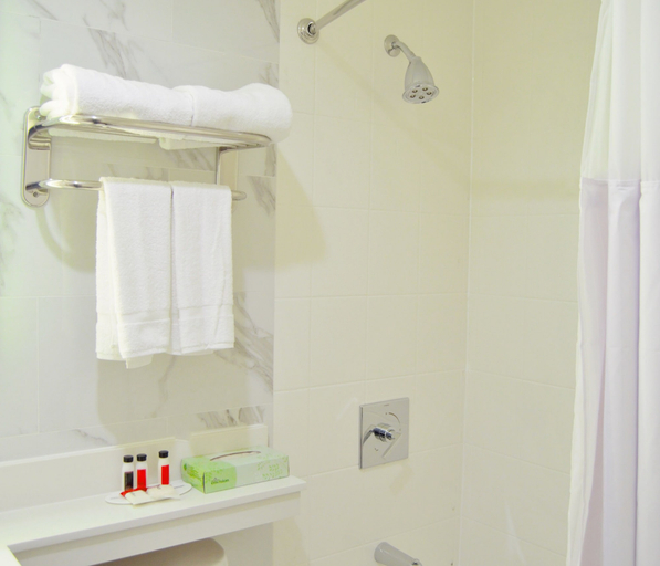 Bathroom 4, Voyage Hotel, New York