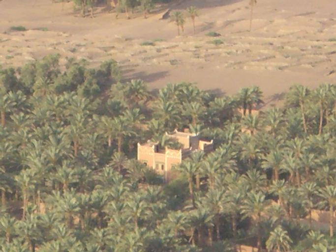 Dar Nekhla - La Maison Des Palmiers, Ouarzazate