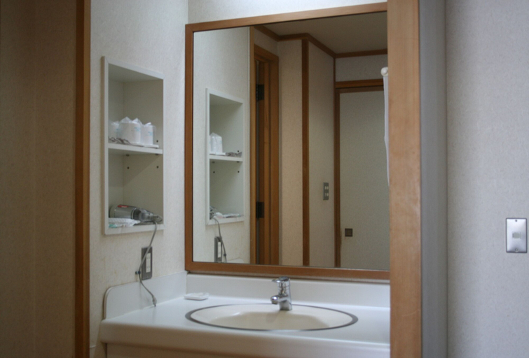 Bathroom 3, Shihoro Spa Plaza Ryokufu(しほろ温泉プラザ緑風), Shihoro