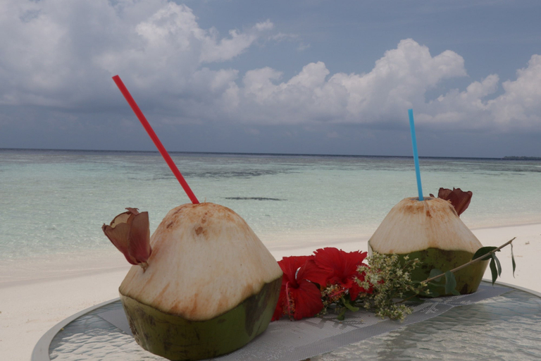 Food & Drinks 5, Scuba Inn