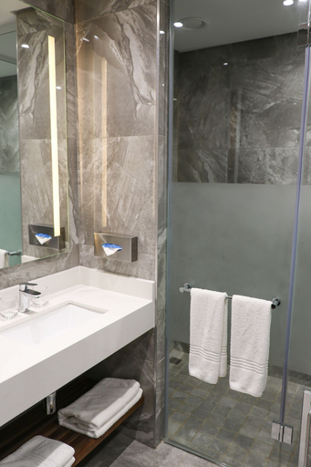 Bathroom 4, Mayfair Hotel, O.R.Tambo