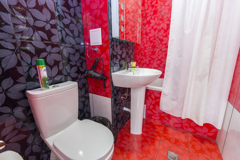 Bathroom 5, Alles Guesthouse, Sochi gorsovet