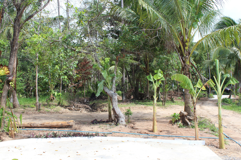 Others 3, Phangan Green Village, Ko Phangan