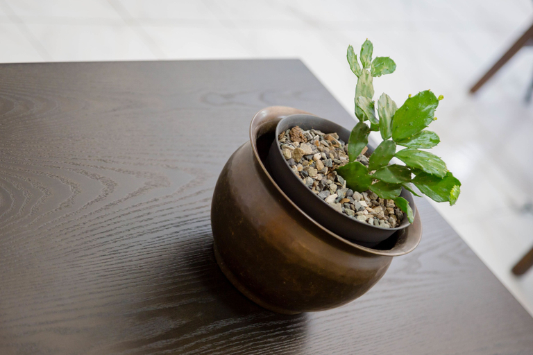 Food & Drinks 5, Centrally Located Guest Apartments