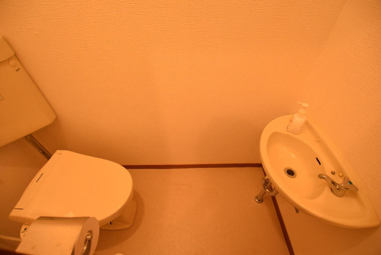 Bathroom 3, Cocomosu Tengachaya, Osaka