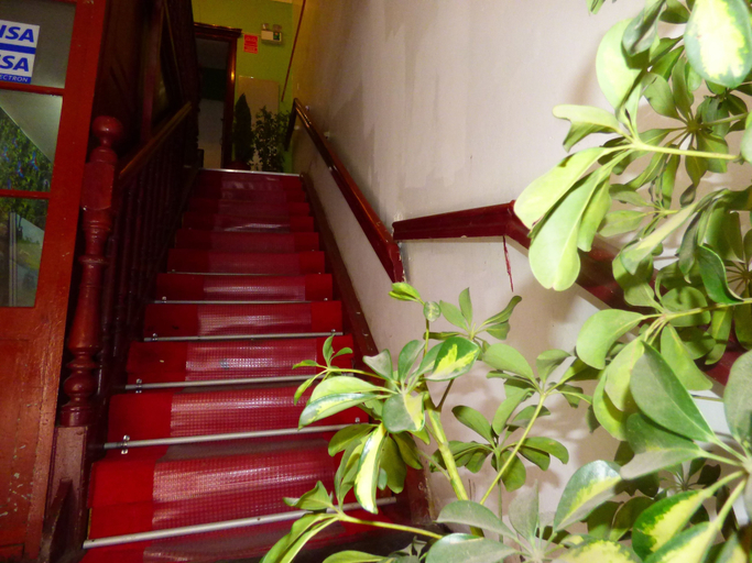 Others 5, Peruvian Hostal, Cusco
