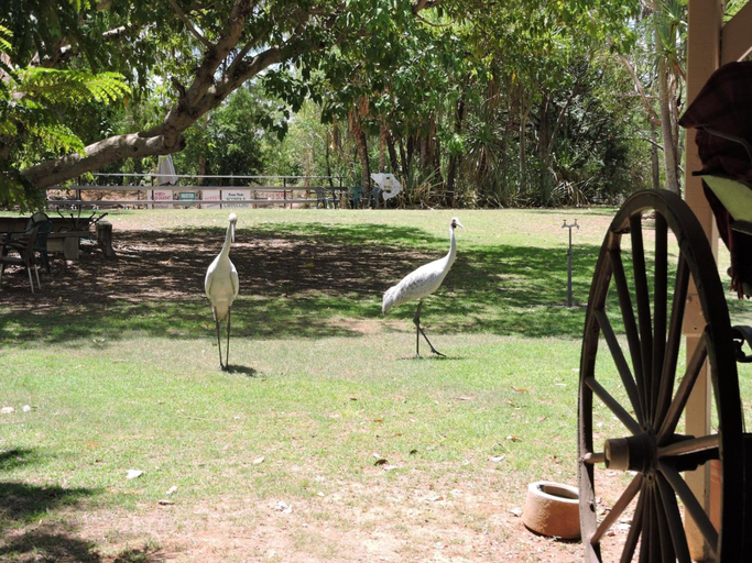 Others 4, Territory Manor Motel & Caravan Park, Mataranka