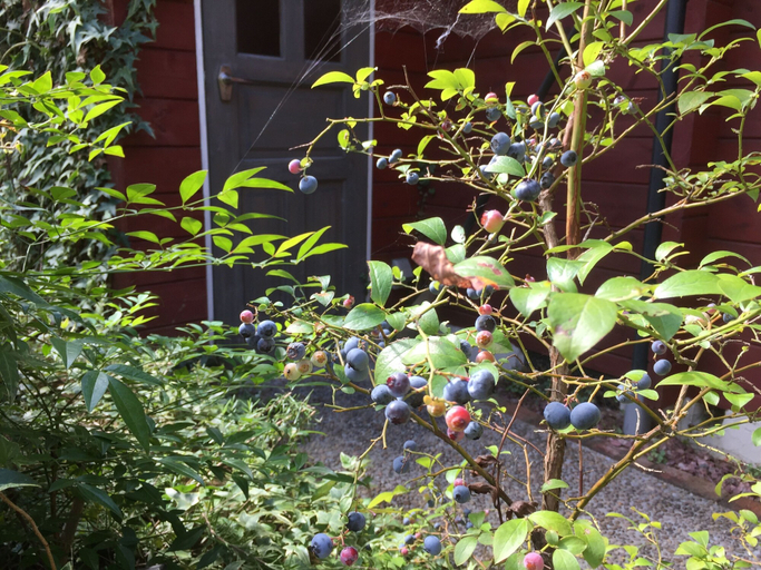 Others 4, Guest House Chalet Sielu, Ōtsu