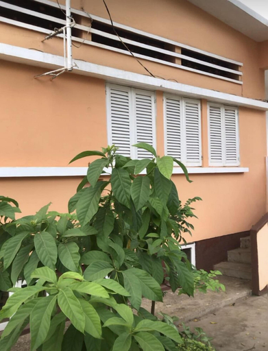 Exterior & Views 2, Casa de Ferias, Água Grande