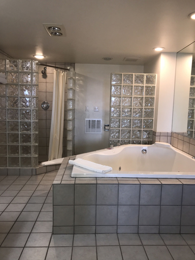 Bathroom 4, Thunderbird Motel, Missoula