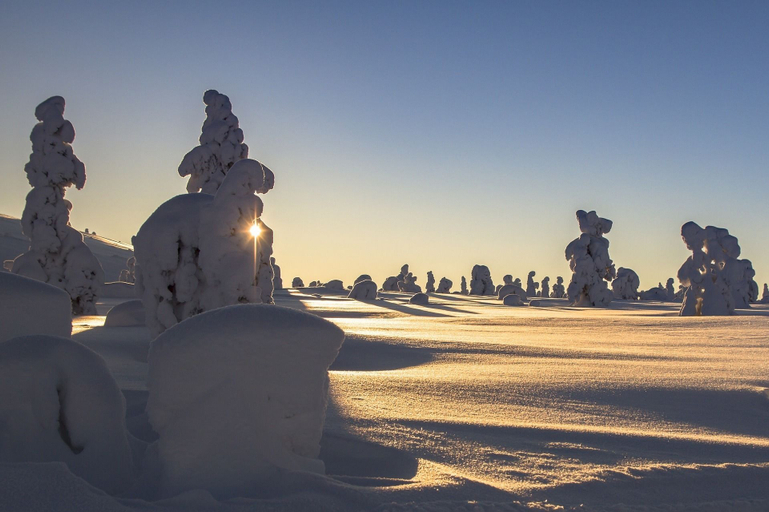 Others 5, Hotelli Ujevaara, Lapland