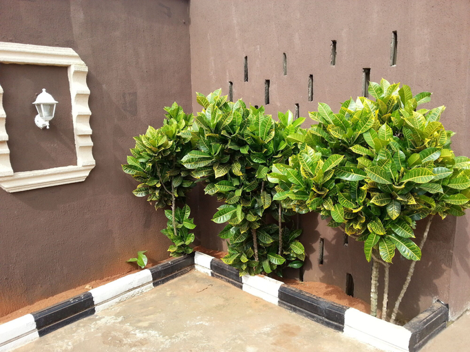 Others 5, Longe Villa, Ikeja