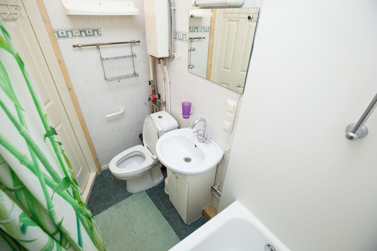 Bathroom 3, Domumetro on Profsoyuznoya Street, Western