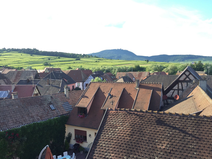 Others 4, S'harzala Jaune, Haut-Rhin
