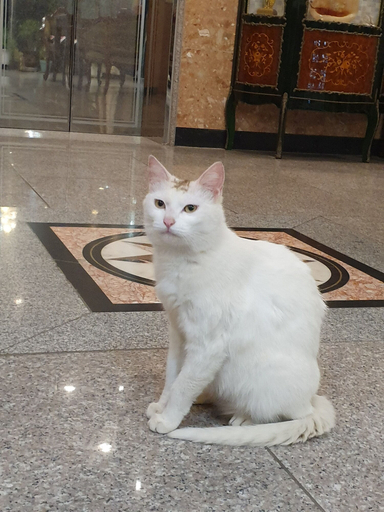 Others 4, Haedoji Hotel Yangyang, Sokcho