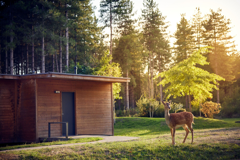 Exterior & Views 2, Center Parcs Le Bois aux Daims, Vienne