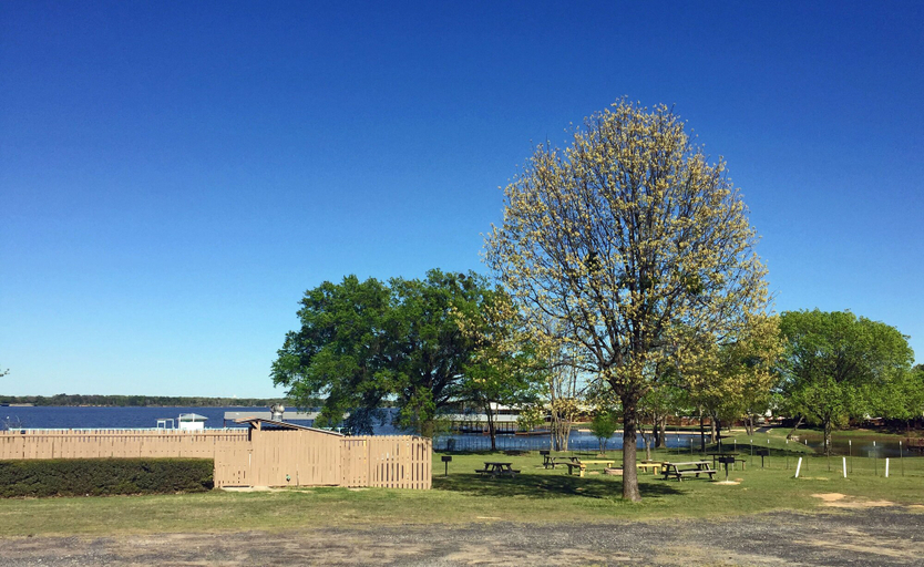 Exterior & Views 2, Lake Fork Resort, Wood