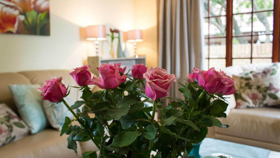Others 5, Lavender Lane Guest House, Eden