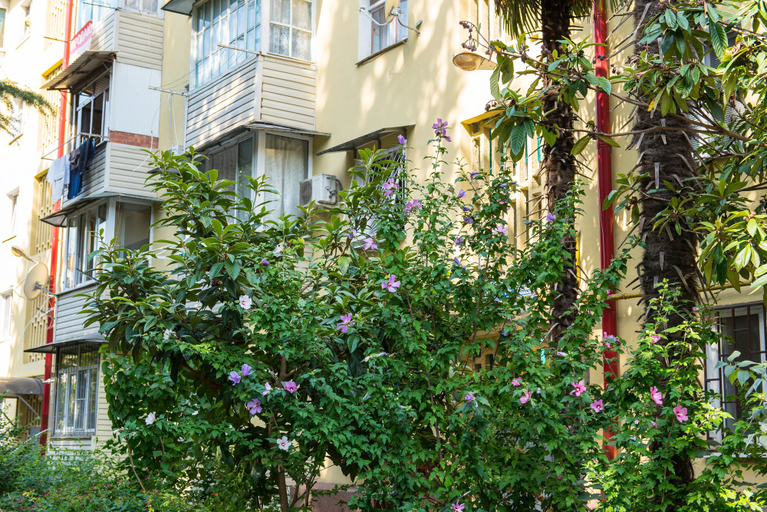 Exterior & Views 2, Cozy three bedroom apartment on Lenina, Sochi gorsovet