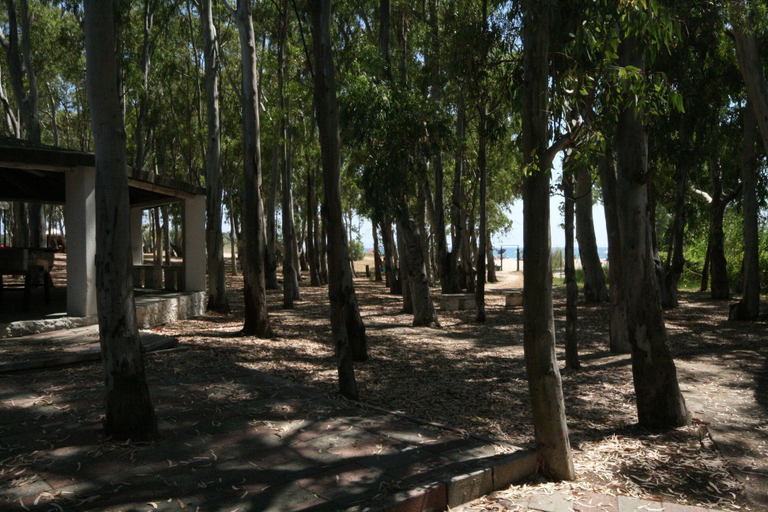 Others 4, Villa Lola, Cagliari