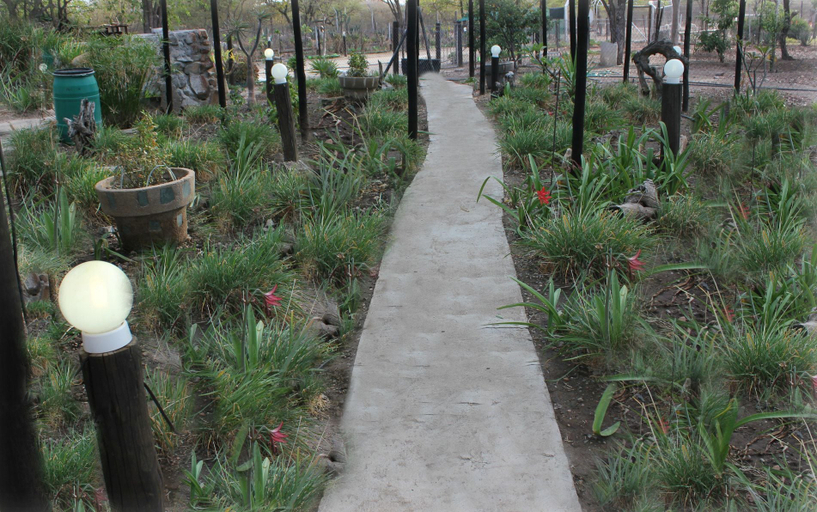 Others 3, Tshimologo Farm Guesthouse, Masungu