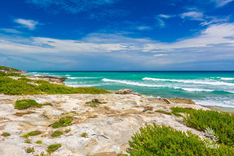 Others 4, Casa Amor - Studio, Isla Mujeres