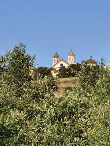 Exterior & Views 2, la corte degli ulivi, Oristano