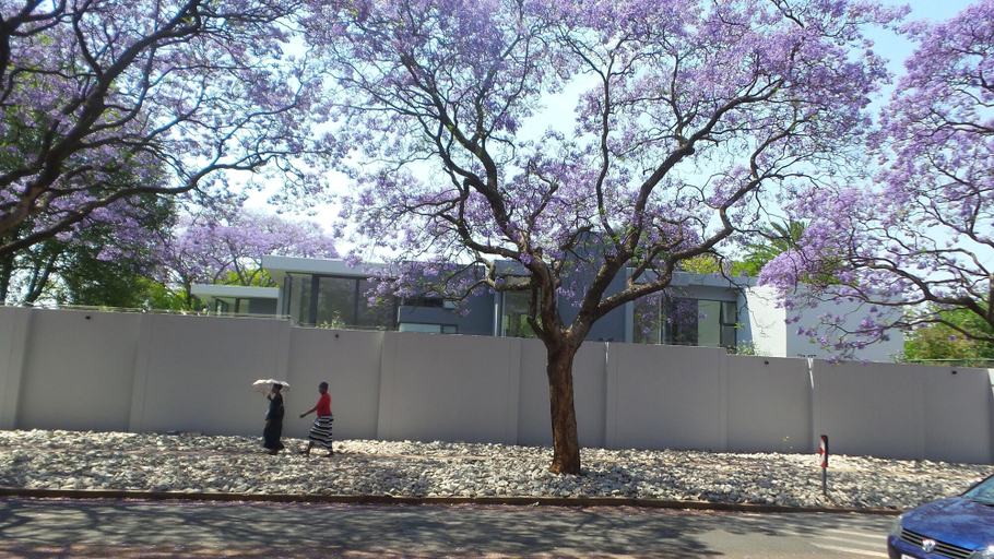Exterior & Views, Melrose Executive Suites, City of Johannesburg