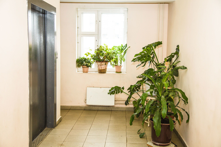Others 4, Apartment on Tekstilschiki, South-Eastern
