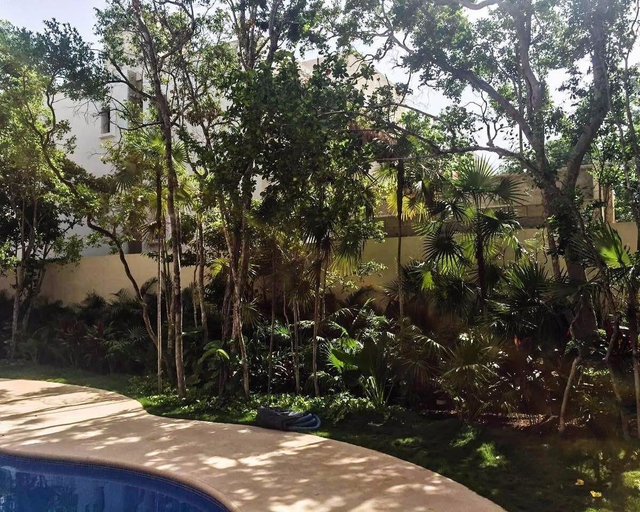 Sport & Beauty 5, Paramar 003, Cozumel