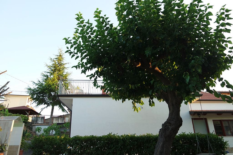 Exterior & Views, Casa Elena, Salerno