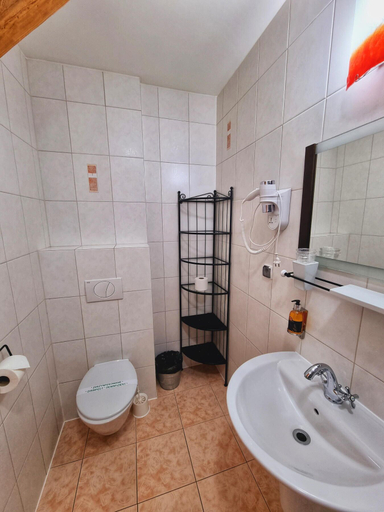 Bathroom 4, Hotel Zamkowy Młyn, Krapkowice